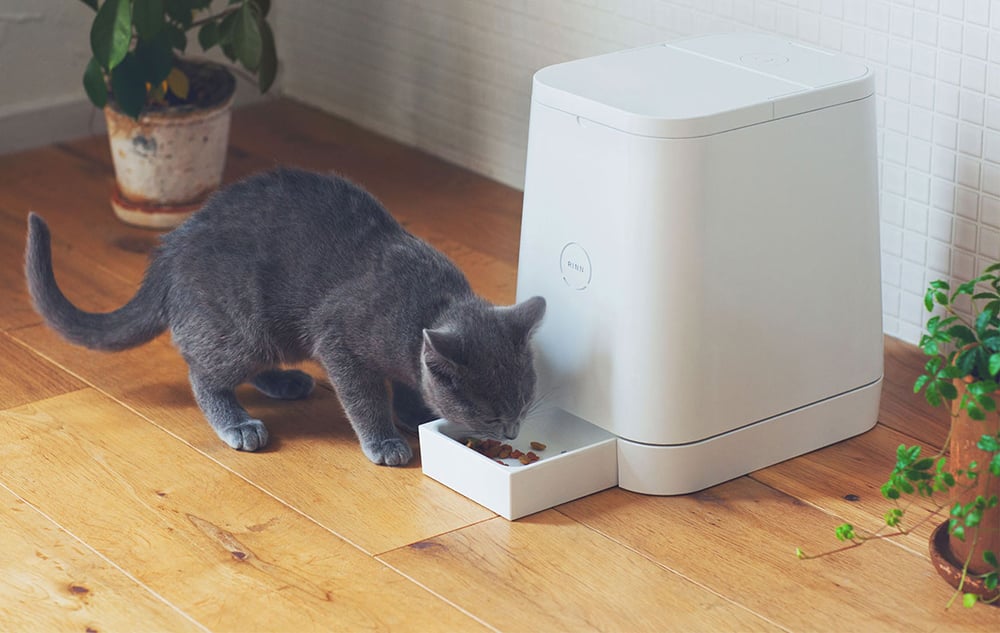 Keep critters and crawlers at bay with a tidy cat feeder.