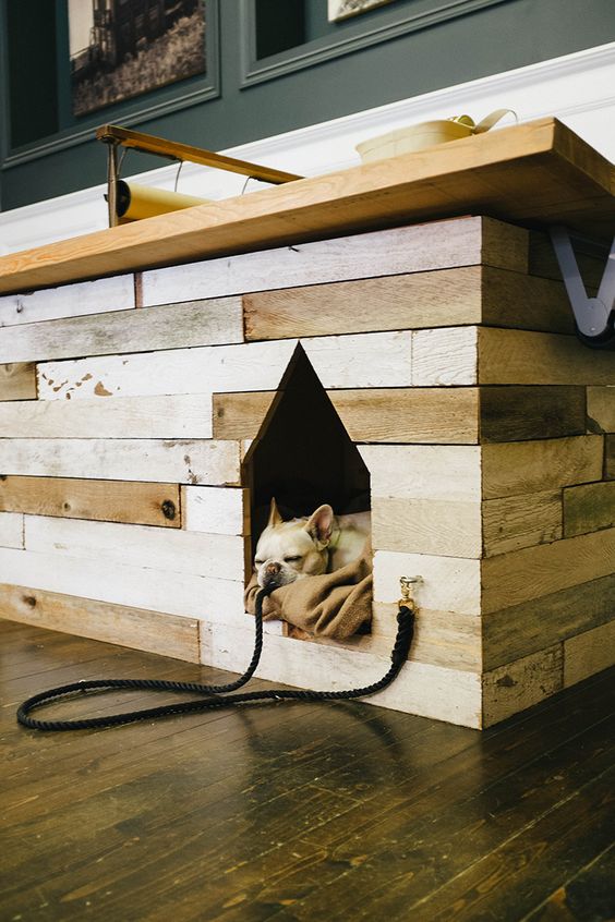Wood creates are a great way to soften the impact of a pet-friendly #homedesign