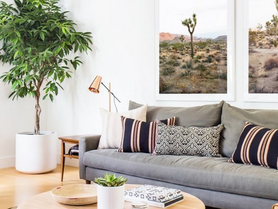 From its Mid-Mod roots to its plentiful use of plants, there's lots to love about the Beachy Boho style!