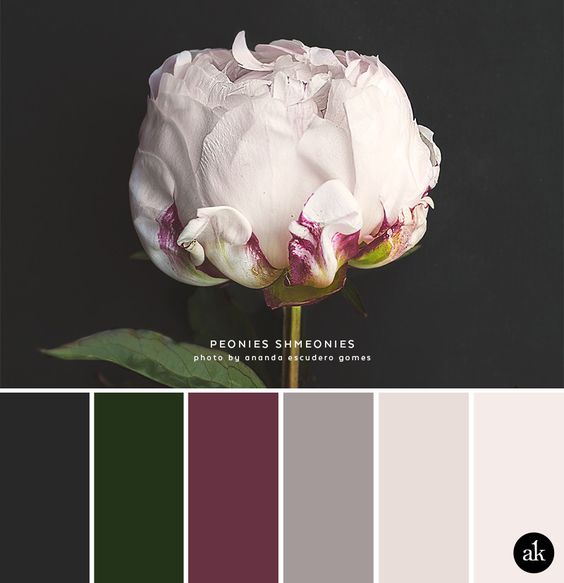 Look to nature when choosing your color palette