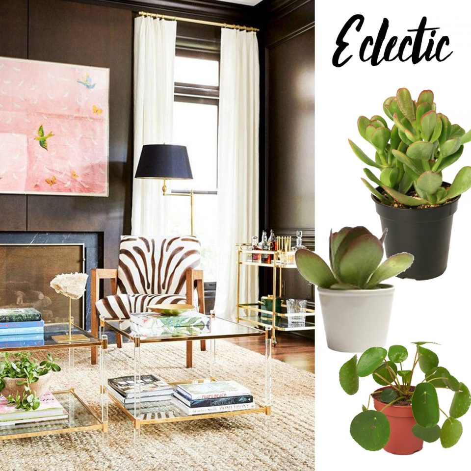 How To Pair Plants and Planters Havenly Blog Havenly Interior