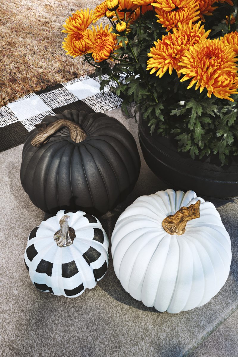 black and white pumpkins
