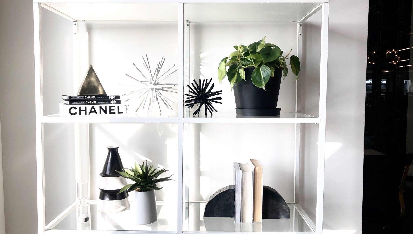 Styled office plants at the Havenly HQ