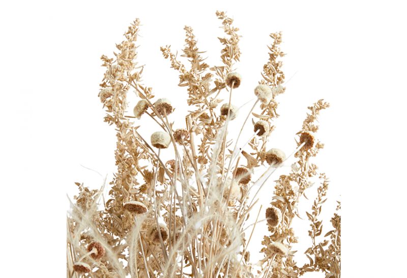 10 Gorgeous Dried Flower Arrangements We Love | Havenly Blog | Havenly ...