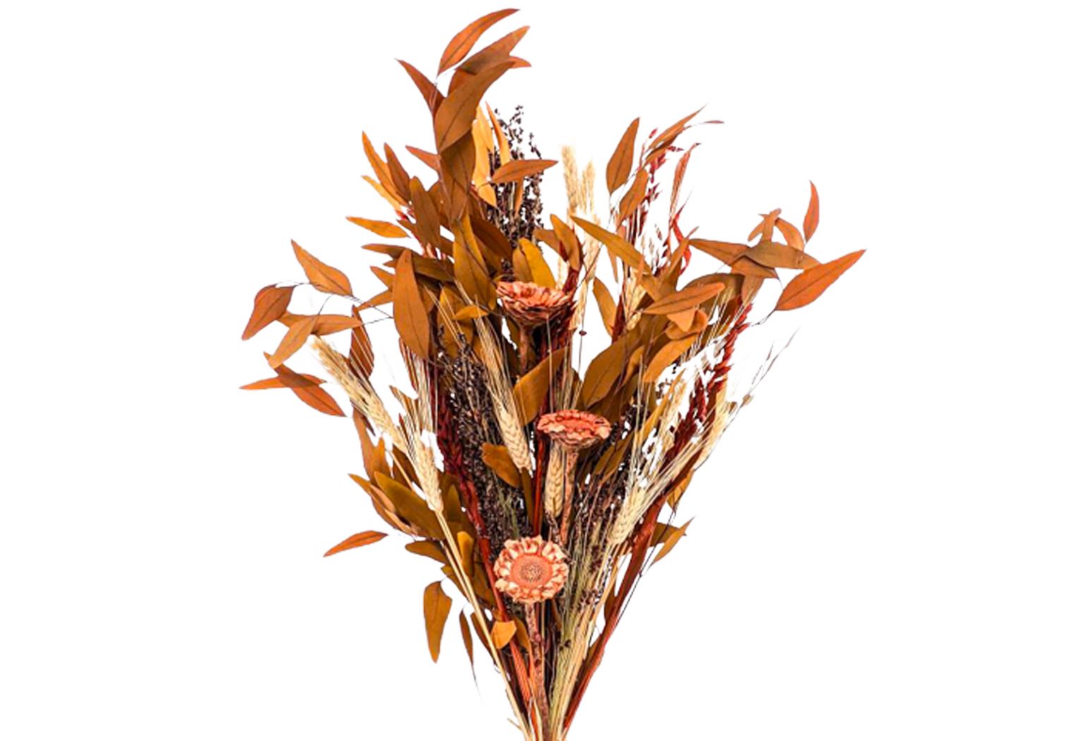 10 Dried Flower Arrangements We Love Havenly Blog Havenly