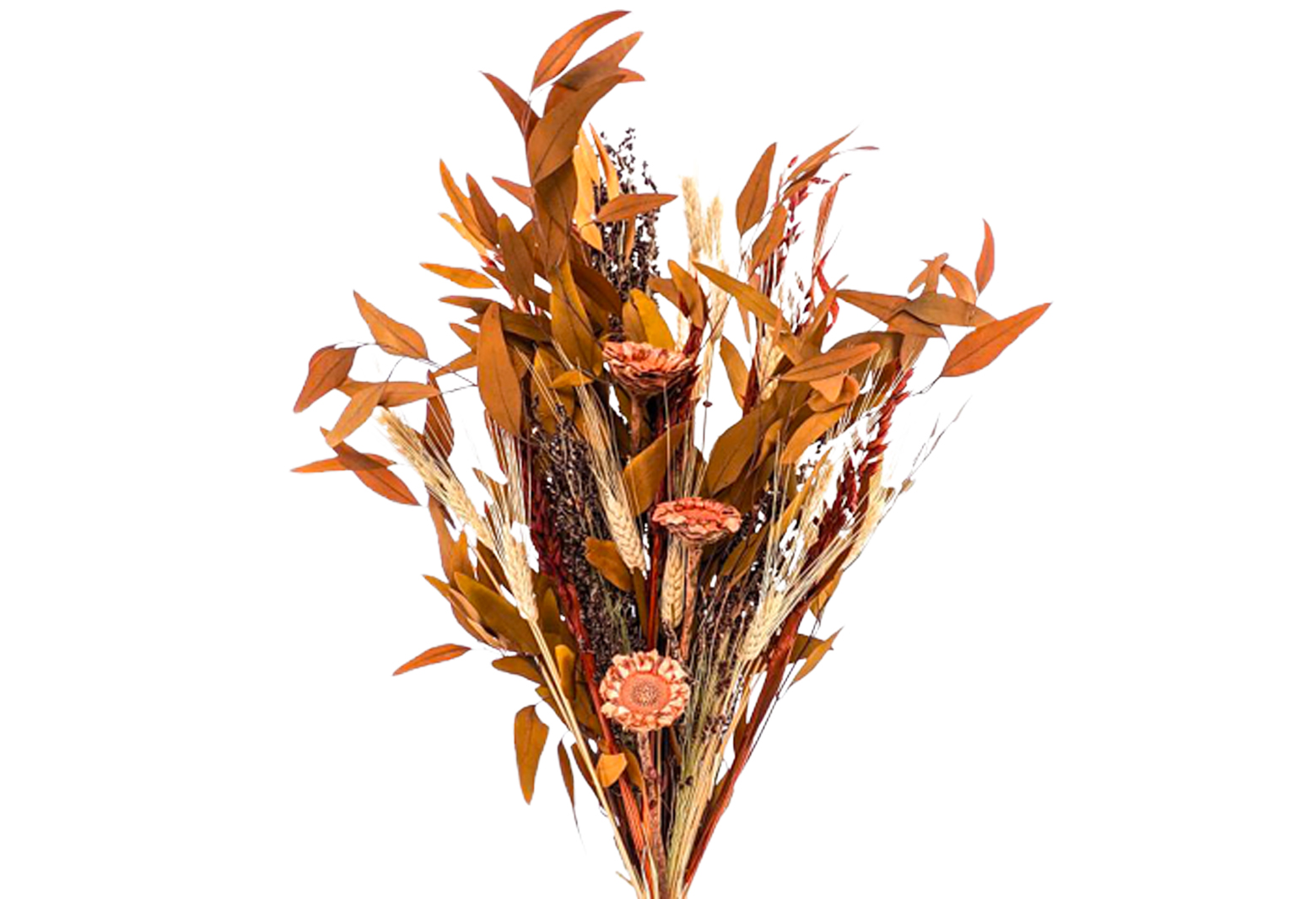 10 Dried Flower Arrangements We Love Havenly Blog Havenly