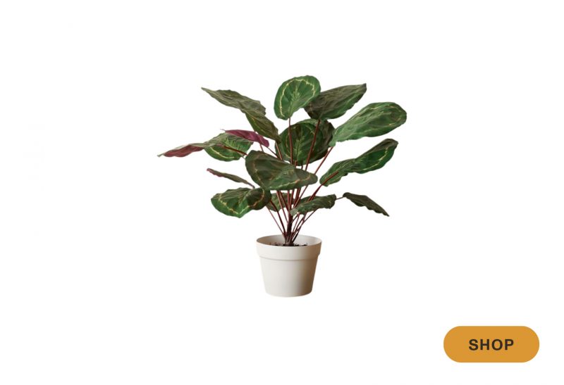 The 15 Best Faux Plants, According to Designers Havenly Blog