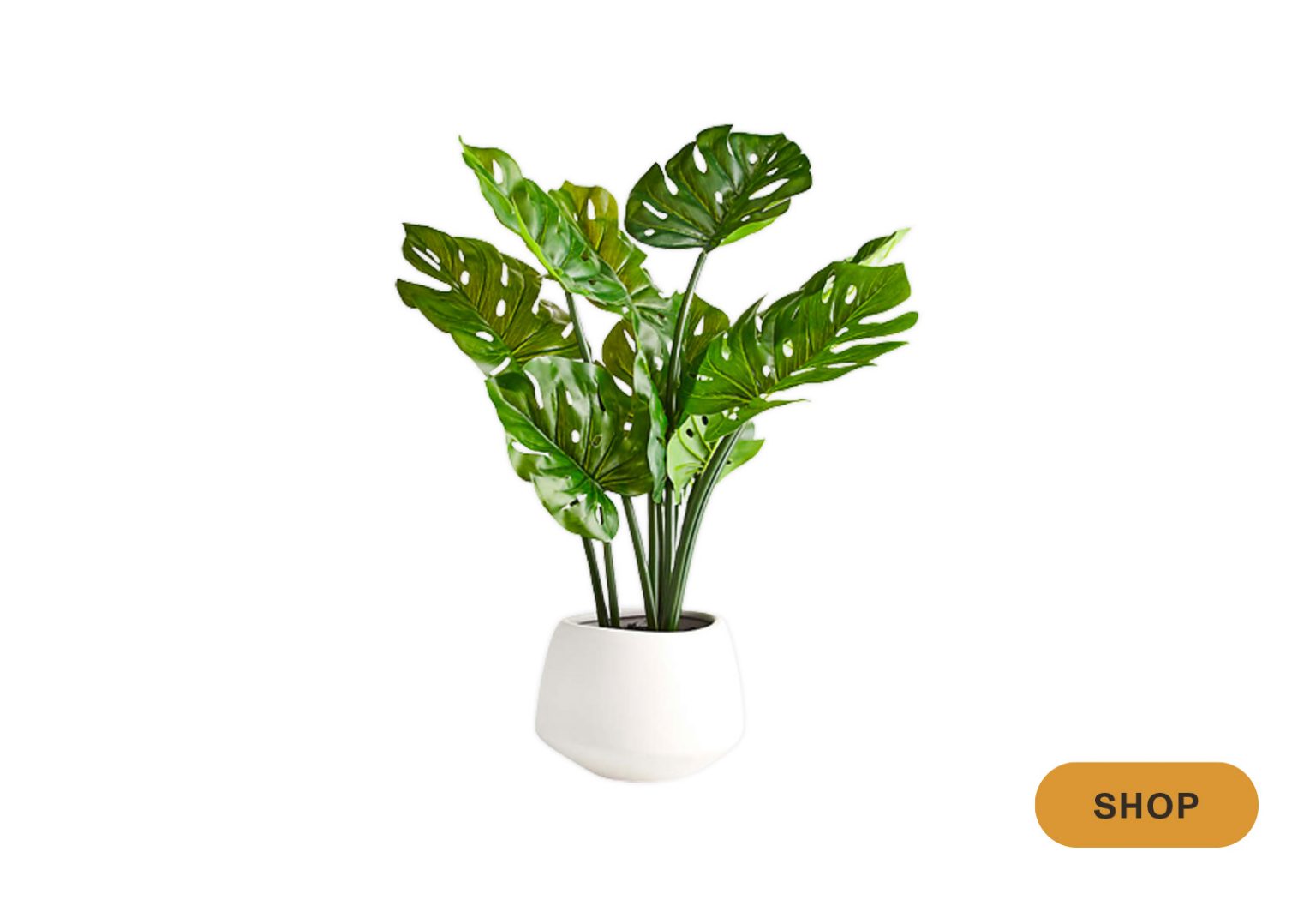 The 15 Best Faux Plants, According to Designers Havenly Blog