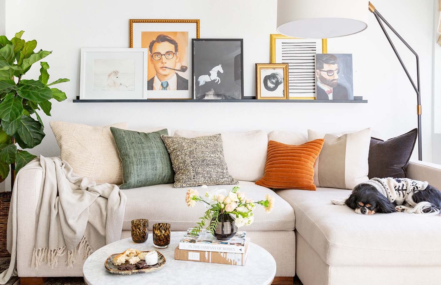 20 stylish kid and pet friendly couches | havenly blog | havenly