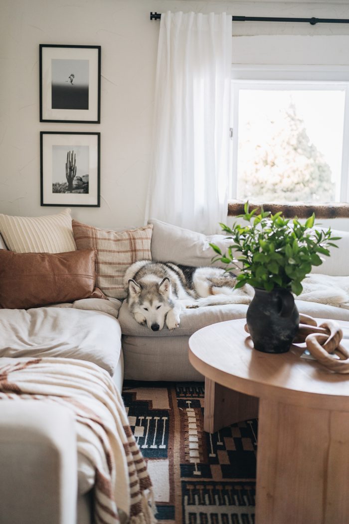 Modern rustic living room | Loki the Wolfdog home