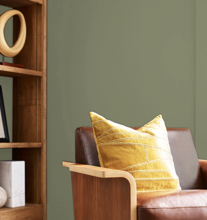 The Best Sage Green Wall Paint Colors - The Zhush