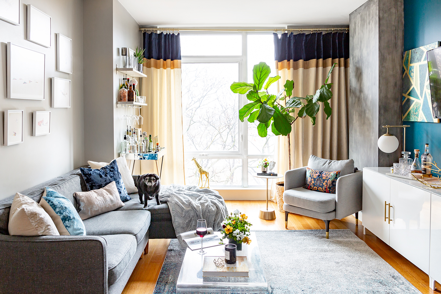 15 Gray Couch Living Room Ideas From Interior Designers | Havenly Interior Design Blog