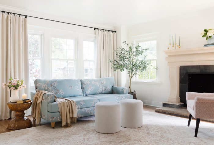 Blue Couch Living Room Ideas
