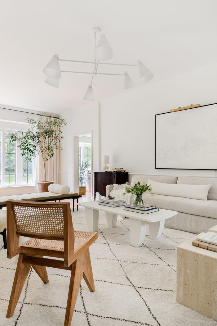 Organic Modern Living Room