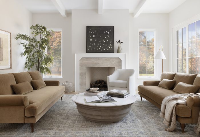 20 Stylish Kid and Pet Friendly Couches Havenly Blog Havenly Interior Design Blog