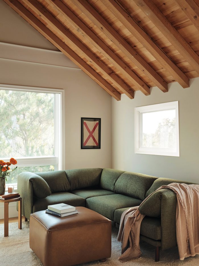 Kid and pet-friendly couch