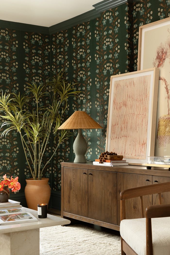 Living Room Decor Ideas