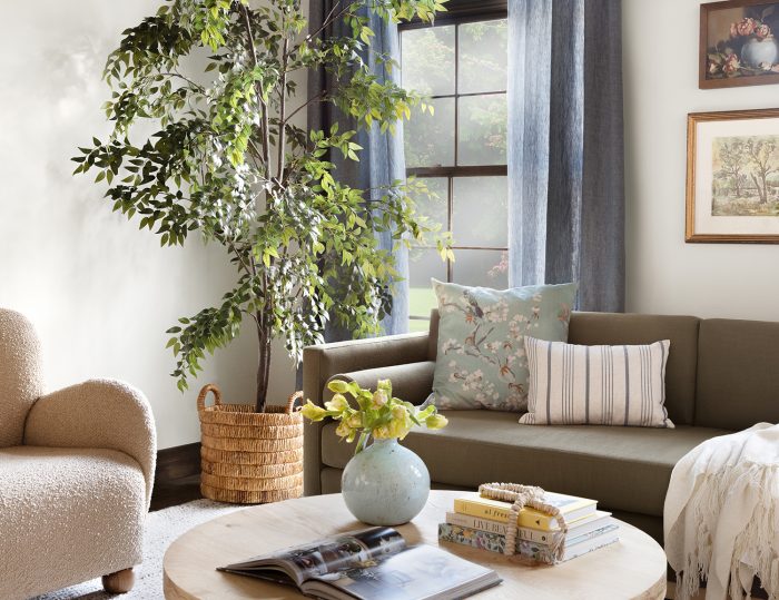 Living Room Decor Ideas